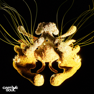 操人妻漫画小说
